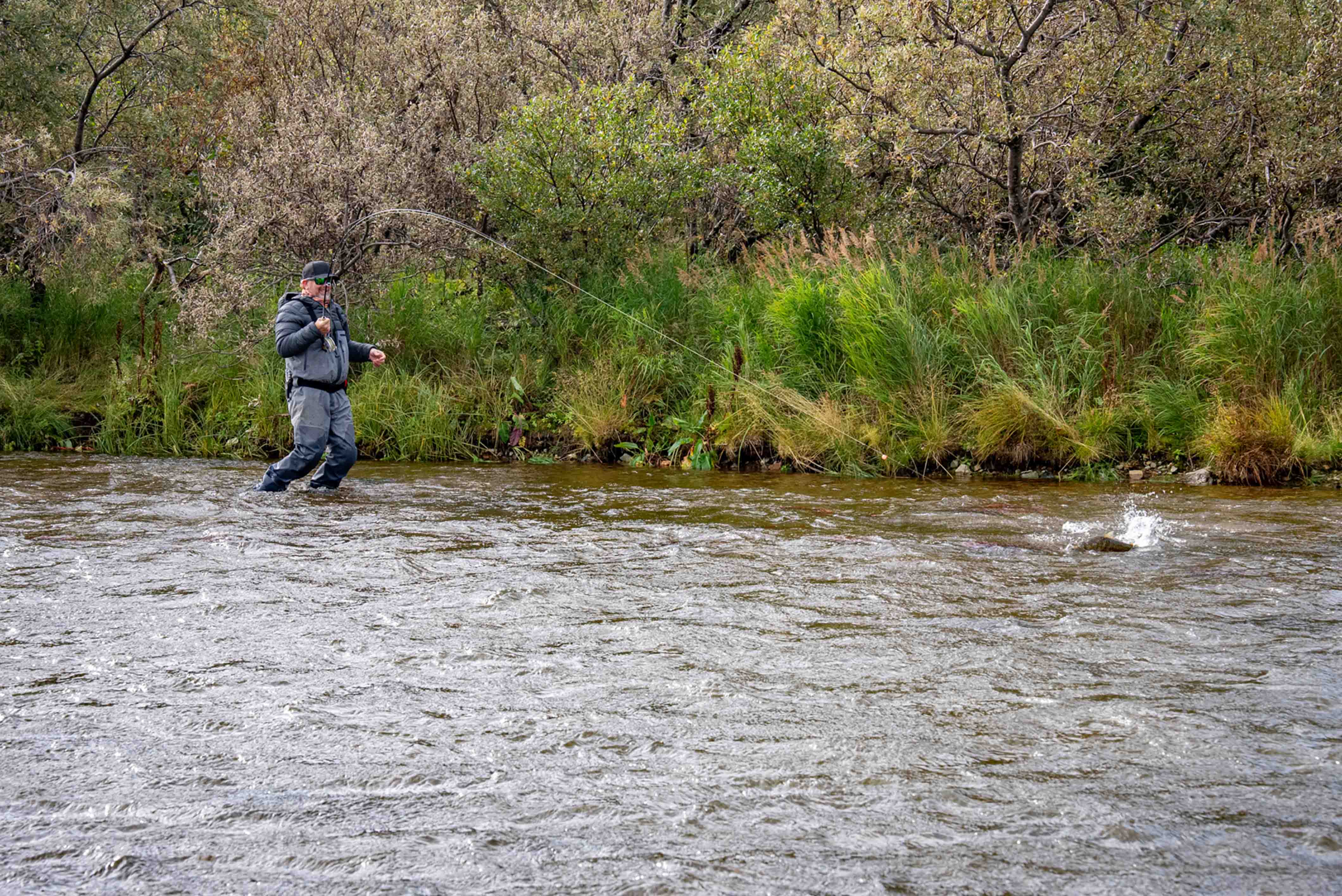 Fly Fishing Lake Clark