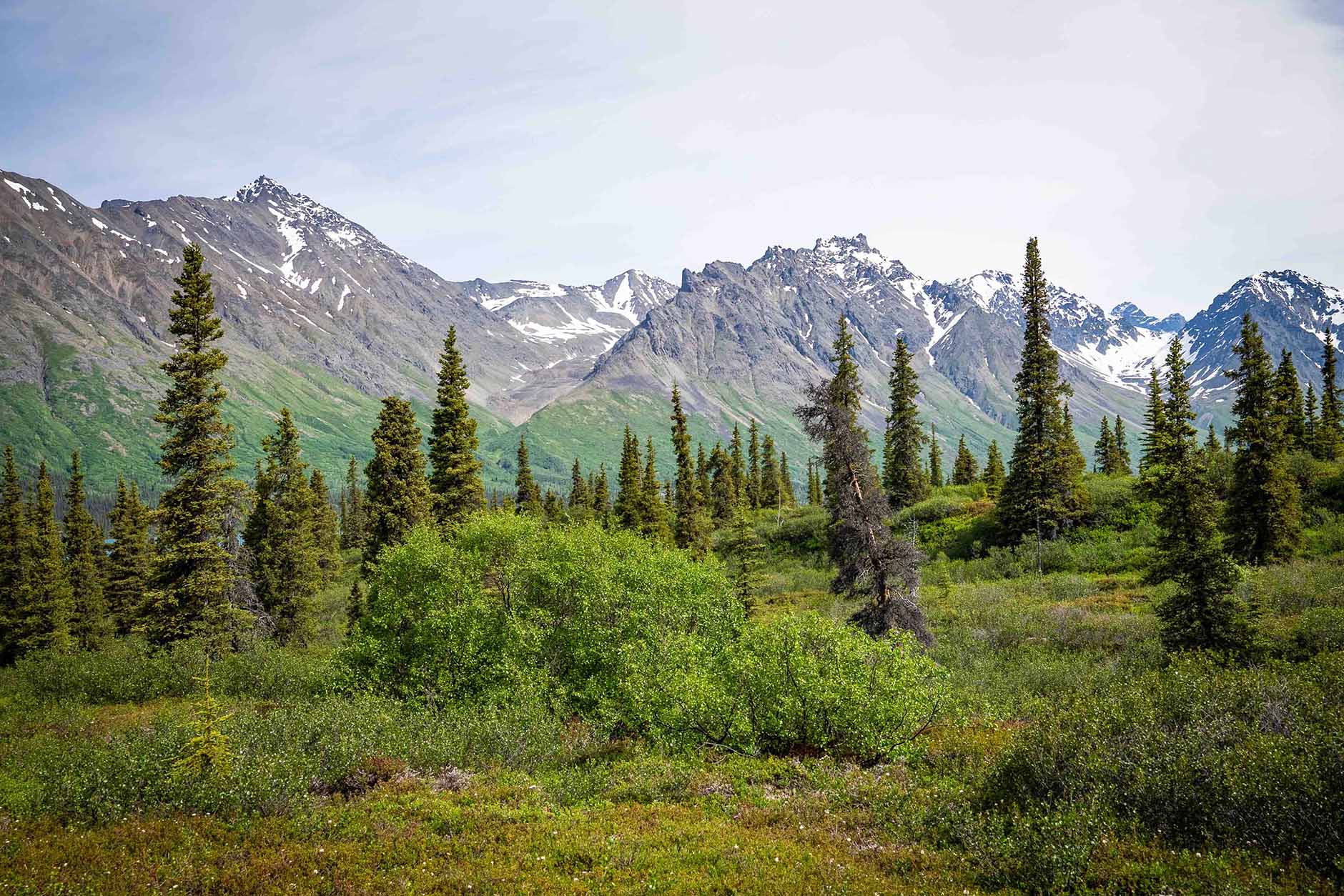 Overlooking Mountains at Proennekes