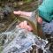 Arctic grayling fishing 