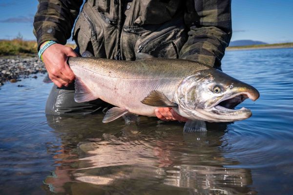 Fly Fishing in Lake Clark National Park 
