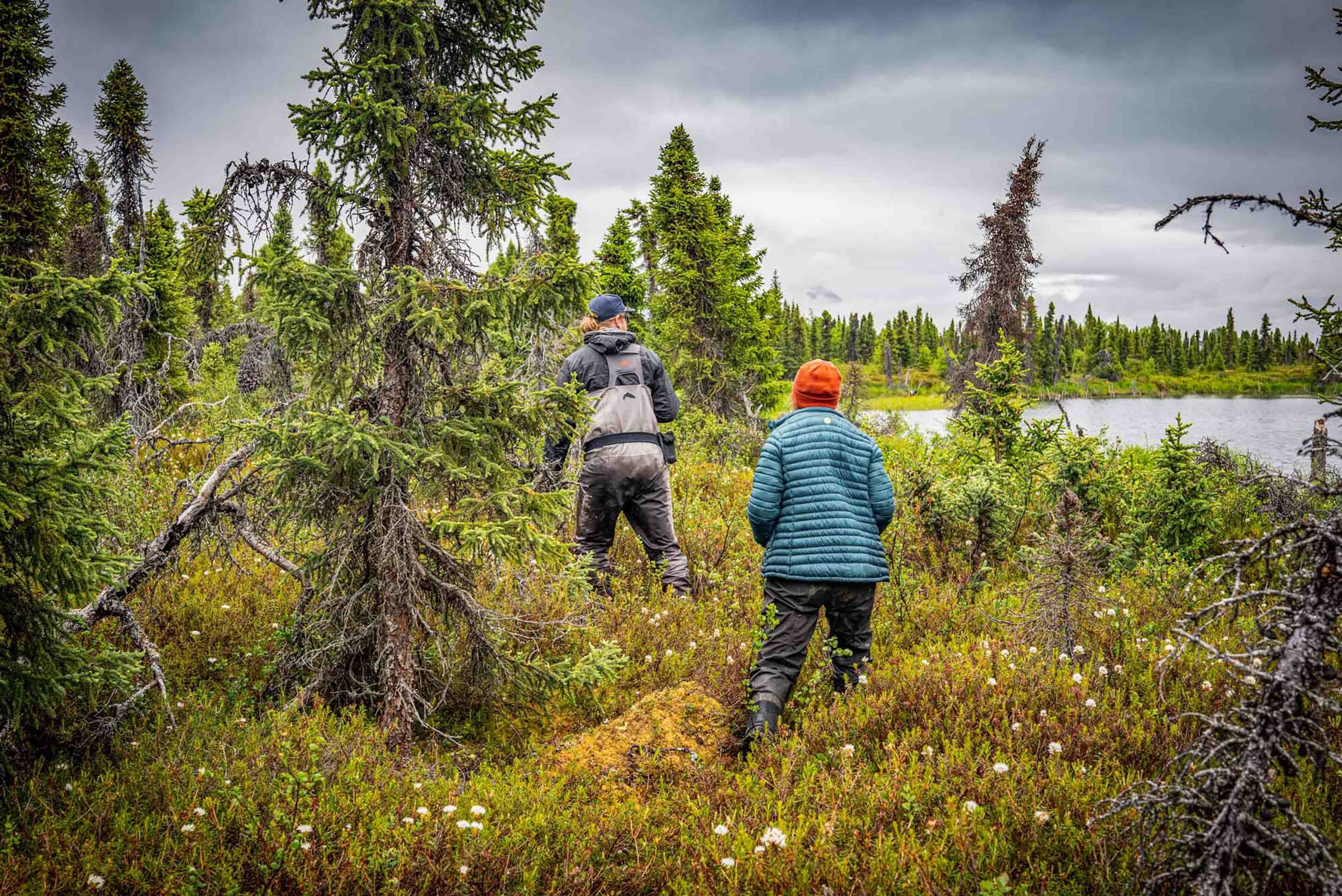 Hiking Remote Lakes of Lake Clark National Park 