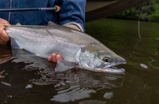 Lake Clark Lodge Fly Fishing