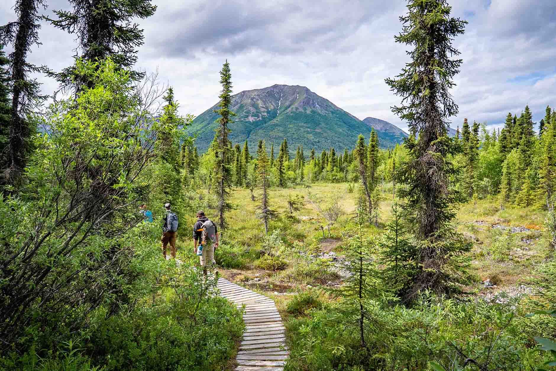 Beaverpond Loop Trail Lake Clark National park 