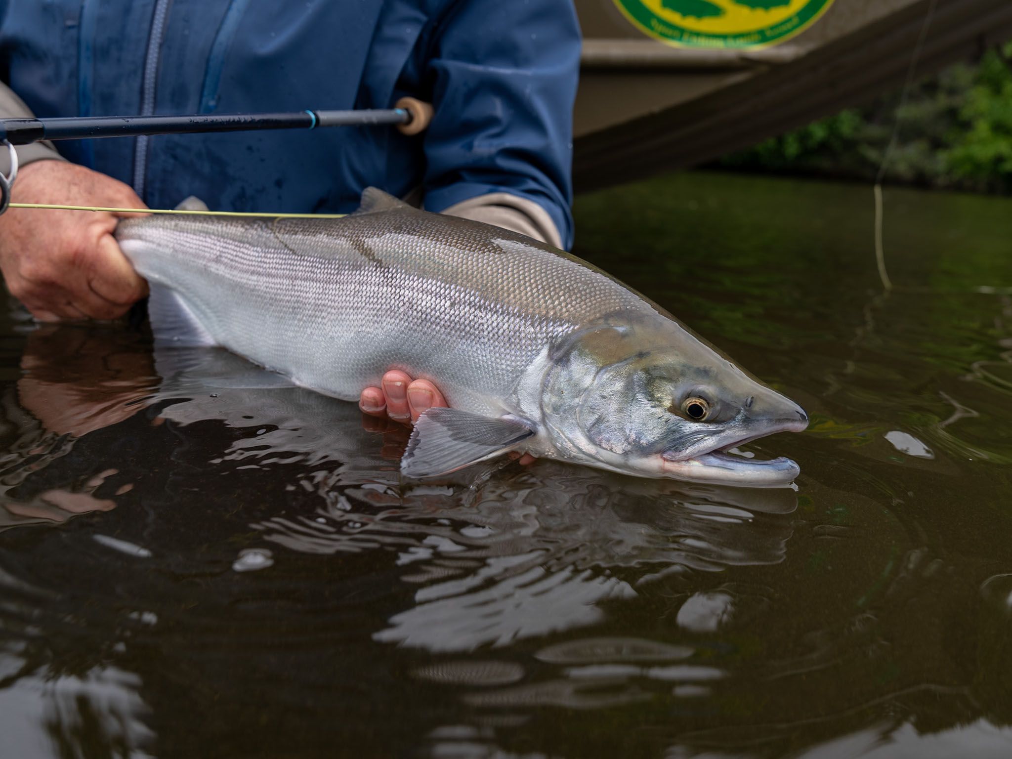 Sockeye Salmon Fishing at Lake Clark Lodge 