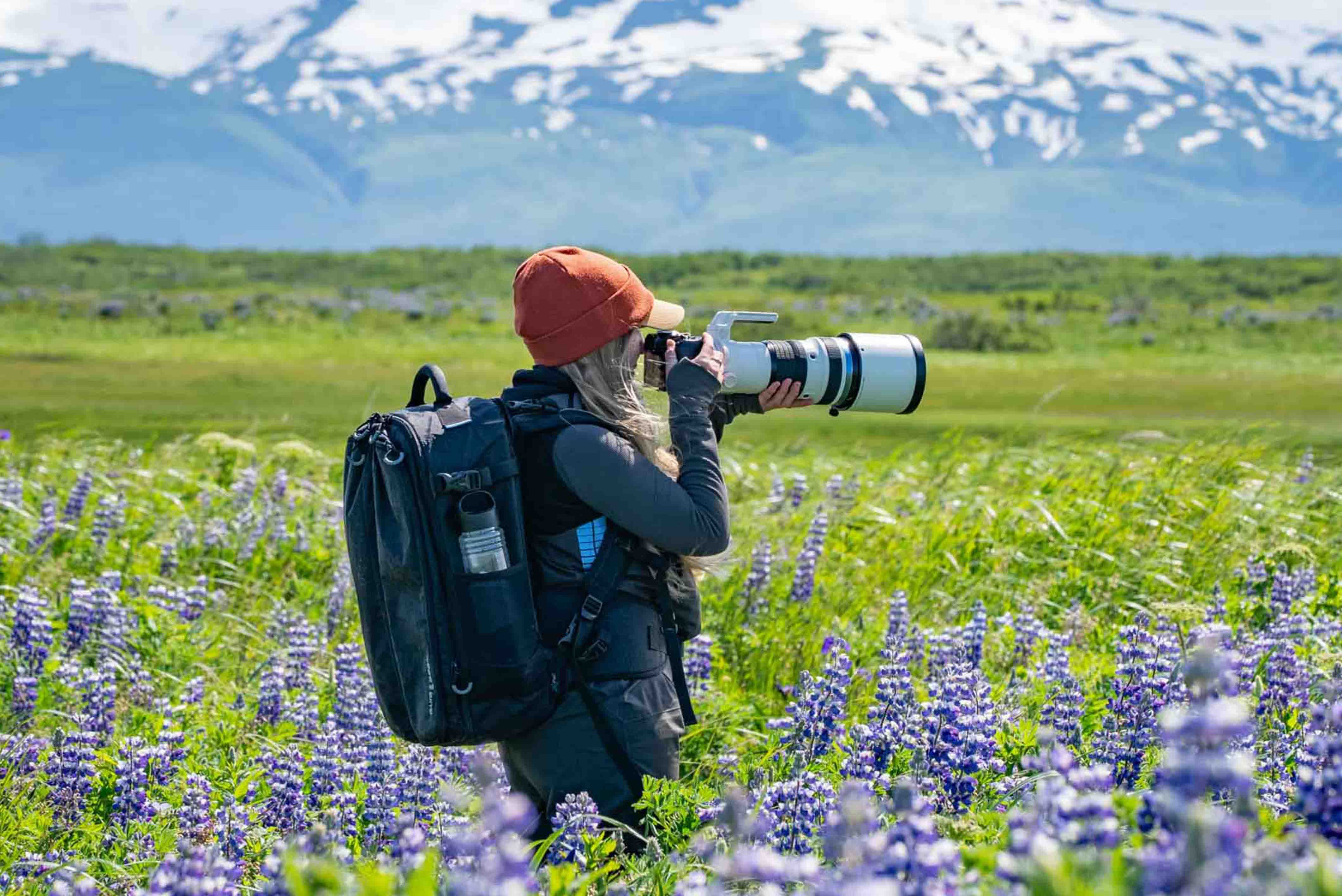 Tiffany Taxi Wildlife Photographer 