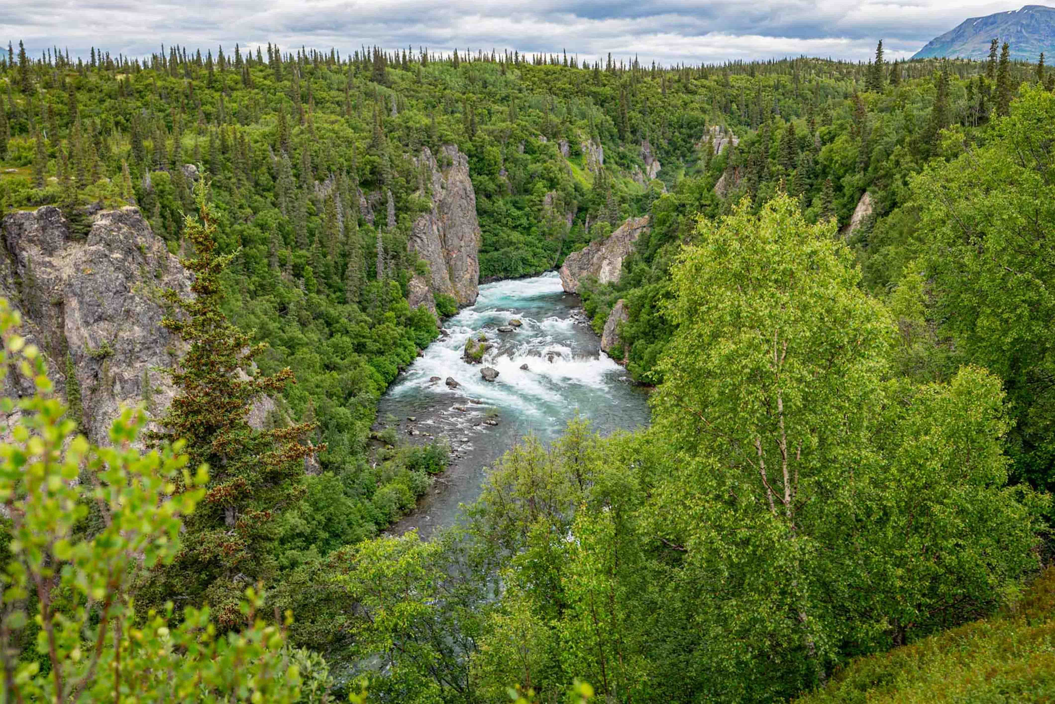 Tanalian Creek Lake Clark National park 